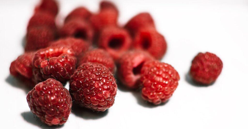 découvrez l'univers fascinant des framboises, un fruit délicieux et nutritif. explorez ses bienfaits pour la santé, ses multiples recettes et astuces de culture dans votre jardin.