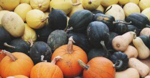 découvrez notre délicieuse recette de gratin de potiron, un plat réconfortant et savoureux à base de courge, crémeux et gratiné au four. idéal pour les repas d'automne, ce gratin allie douceur et saveurs épicées pour ravir vos papilles.