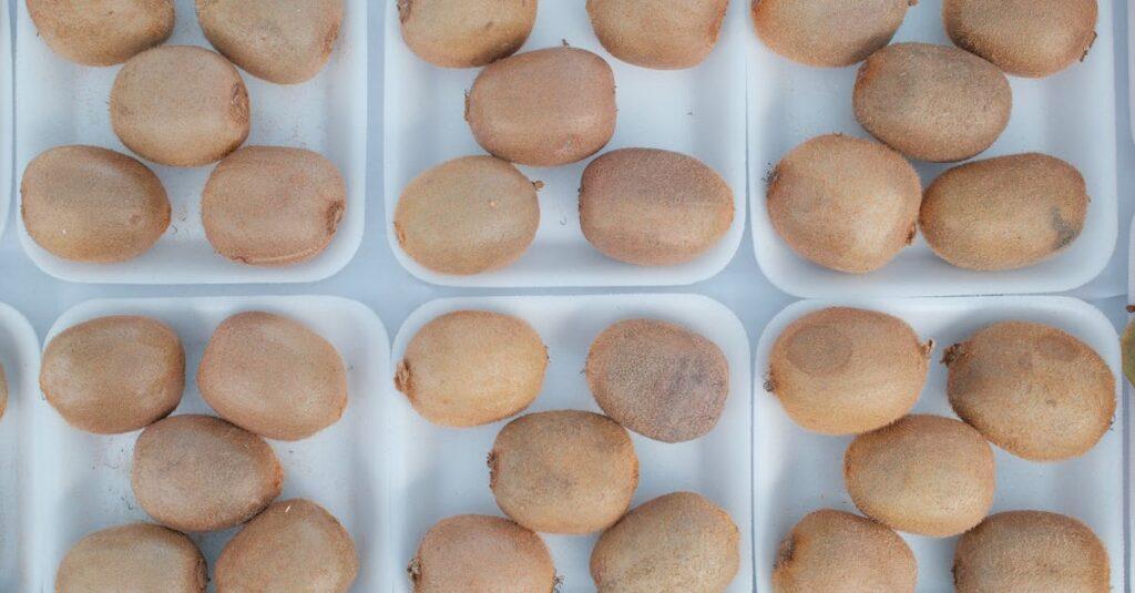 découvrez l'univers veggie : des recettes savoureuses, des astuces culinaires et des conseils nutritionnels pour une alimentation saine et respectueuse de l'environnement. explorez notre sélection de plats végétariens qui raviront vos papilles.