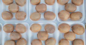 découvrez l'univers veggie : des recettes savoureuses, des astuces culinaires et des conseils nutritionnels pour une alimentation saine et respectueuse de l'environnement. explorez notre sélection de plats végétariens qui raviront vos papilles.