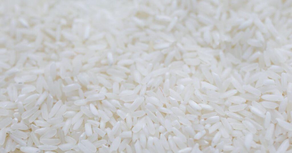 découvrez le riz cantonais, un plat savoureux et réconfortant, riche en saveurs asiatiques. savourez ce mélange délicieux de riz sauté, légumes croquants, œufs et viandes de votre choix, parfait pour un repas rapide ou une occasion spéciale.