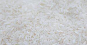 découvrez le riz cantonais, un plat savoureux et réconfortant, riche en saveurs asiatiques. savourez ce mélange délicieux de riz sauté, légumes croquants, œufs et viandes de votre choix, parfait pour un repas rapide ou une occasion spéciale.
