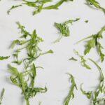 découvrez nos délicieux rouleaux de printemps détox, une recette fraîche et saine qui allie légumes croquants et herbes aromatiques. parfaits pour un en-cas léger ou un plat principal revitalisant, ces rouleaux sont une explosion de saveurs naturelles, tout en étant nourrissants et faibles en calories.