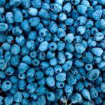 découvrez des idées de collations saines et savoureuses pour satisfaire vos envies sans culpabilité. boostez votre énergie avec des choix nutritifs et délicieux adaptés à tous les goûts !