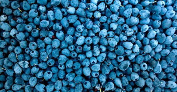 découvrez des idées de collations saines et savoureuses pour satisfaire vos envies sans culpabilité. boostez votre énergie avec des choix nutritifs et délicieux adaptés à tous les goûts !