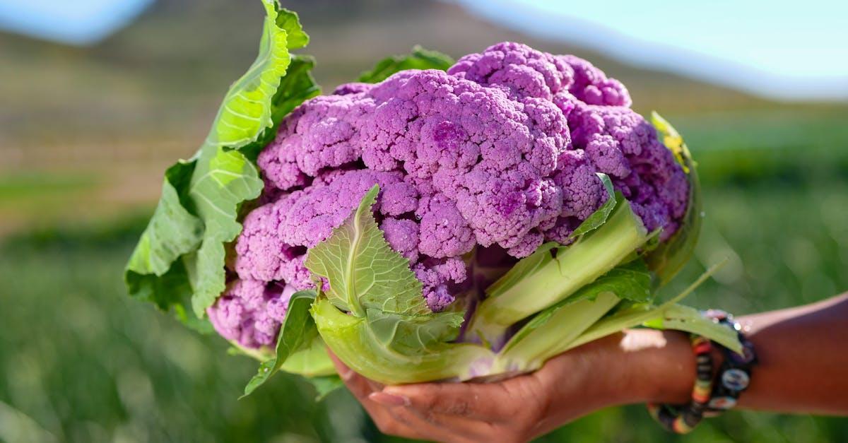 découvrez la recette savoureuse des nuggets de chou-fleur, une alternative croustillante et saine aux amuse-bouches traditionnels. parfaits pour les vegans et les amateurs de légumes, ces nuggets sont faciles à préparer et conviennent à toute la famille.