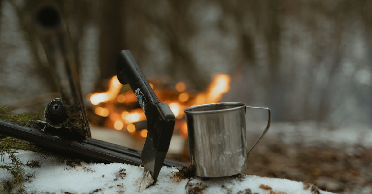 découvrez notre journal en bois de châtaignier, parfait pour apporter une touche rustique à votre intérieur. idéal pour la décoration ou le rangement, ce produit allie élégance et fonctionnalité.