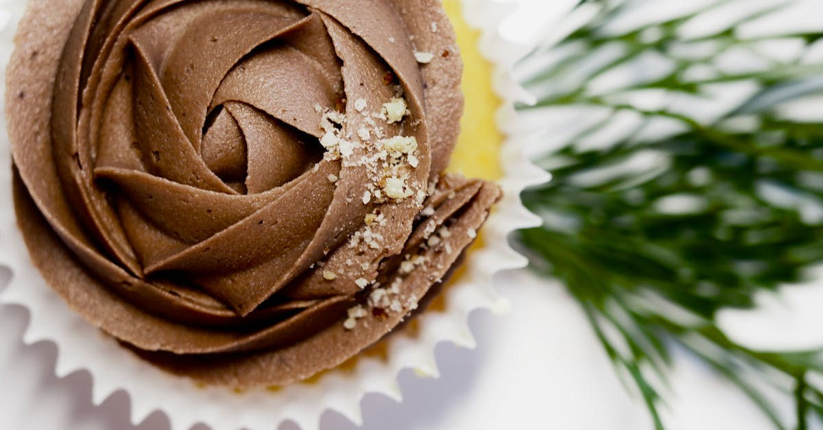 découvrez notre délicieux gâteau d'anniversaire au chocolat, un véritable régal qui ravira les papilles de vos invités. avec sa texture moelleuse et sa riche saveur de chocolat, ce gâteau fait de chaque célébration un moment inoubliable.