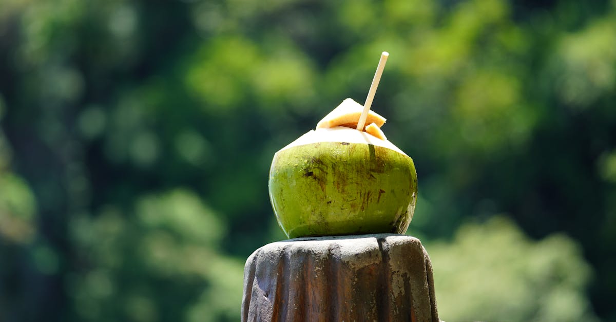 découvrez notre délicieux flan noix de coco, un dessert crémeux et exotique qui ravira vos papilles. avec sa texture fondante et son goût irrésistible de coco, ce flan est parfait pour toutes les occasions. préparez-vous à être transporté vers des plages ensoleillées avec chaque bouchée!