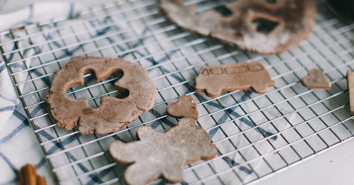 découvrez l'univers des cookies avec nos recettes délicieuses et variées. que vous soyez fan de chocolat, de fruits ou de saveurs originales, trouvez votre cookie idéal pour accompagner vos moments gourmands.