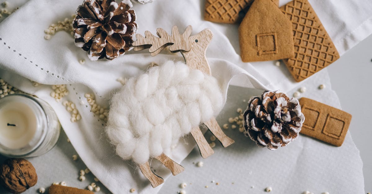 découvrez les délices des cookies faits maison ! apprenez à préparer des recettes simples et savoureuses pour régaler vos amis et votre famille. explorez des astuces pour des cookies moelleux ou croustillants, parfaits pour toutes les occasions.