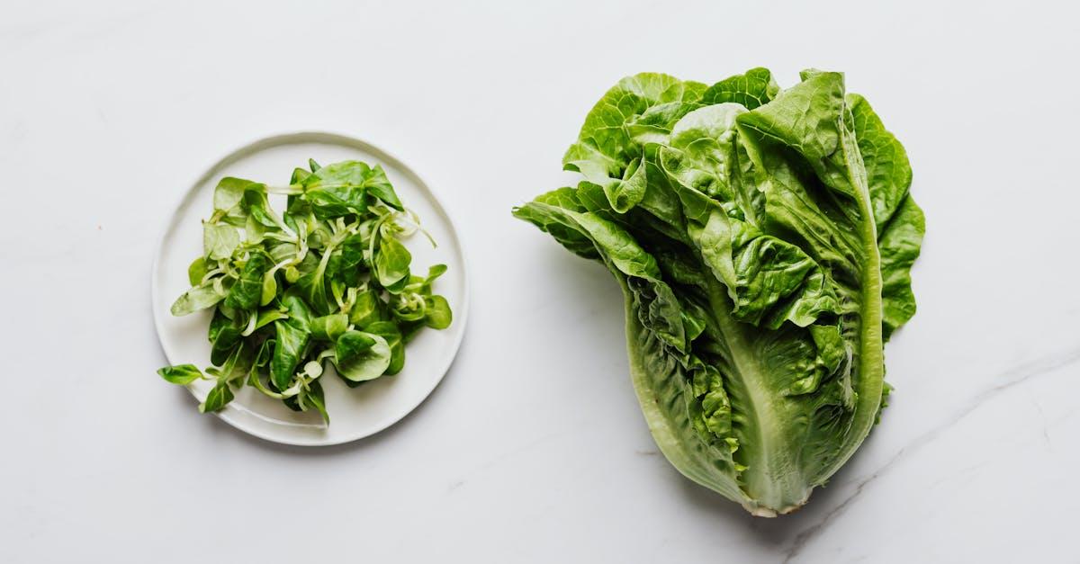 découvrez notre délicieuse salade détox, pleine de saveurs et de nutriments. parfaite pour purger votre organisme, elle associe légumes frais, fruits juteux et super-aliments. faites le plein d'énergie tout en prenant soin de votre santé avec notre recette de salade détox facile à réaliser!
