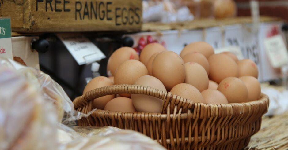 découvrez nos délicieuses pâtisseries sans lactose, parfaites pour les gourmands intolérants au lactose. savourez des douceurs moelleuses et savoureuses, élaborées avec des ingrédients de qualité pour un plaisir sans compromis.