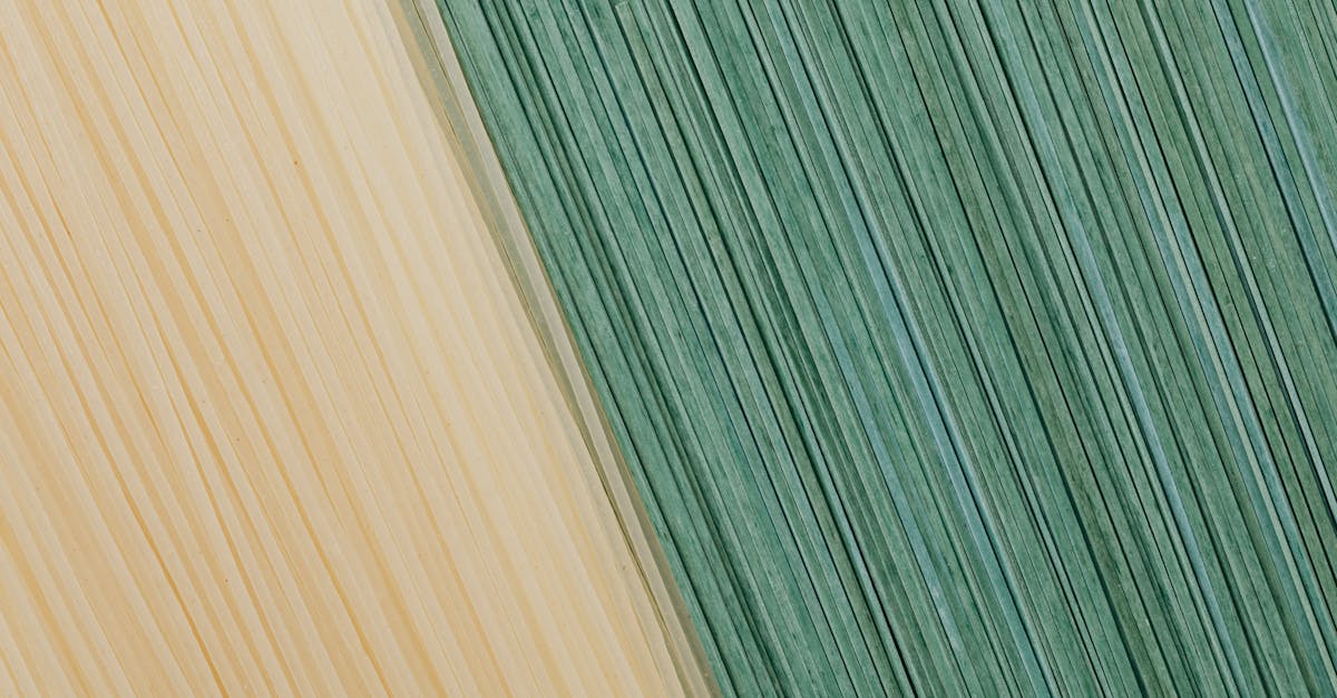 découvrez la saveur délicate des linguines, une pasta italienne fine et longue, parfaite pour toutes vos sauces préférées. agrémentez vos plats de créativité culinaire et savourez des recettes authentiques qui raviront vos papilles.