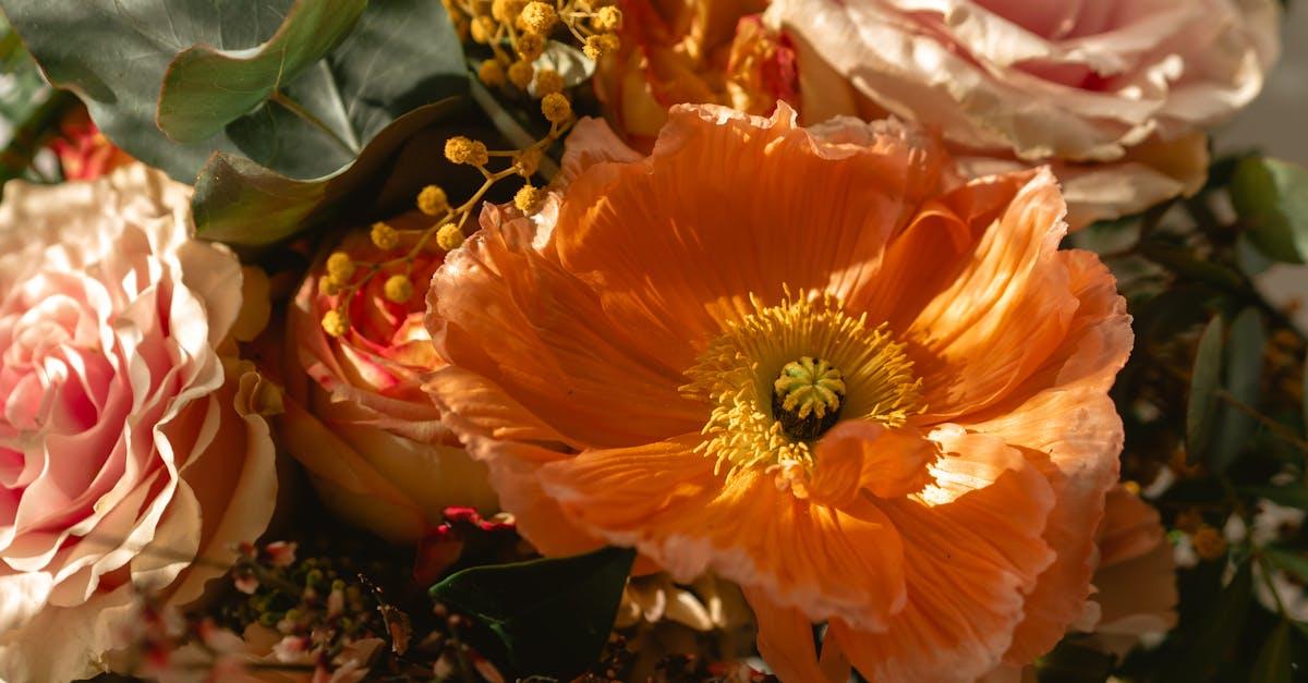 découvrez notre délicieux gâteau à la fleur d'oranger, une douceur parfumée qui allie moelleux et subtilité. idéal pour les occasions spéciales ou simplement pour se faire plaisir, ce dessert ravira vos papilles avec ses notes délicates et sa texture aérienne. une recette divine qui fera sensation à votre table !