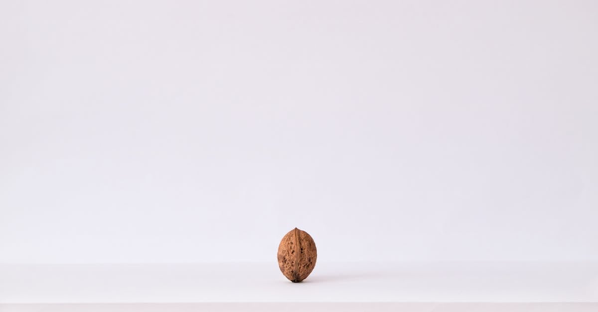découvrez la douceur irrésistible de la praline aux noix de pécan ! une délicieuse combinaison de saveurs caramelisées et de noix croquantes, parfaite pour égayer vos desserts ou à déguster seule pour un moment de gourmandise.