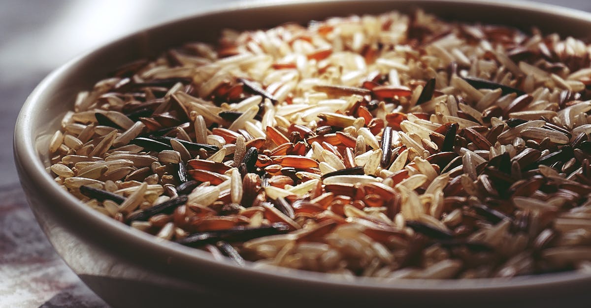 découvrez les bienfaits du quinoa, un super-aliment riche en protéines et en nutriments. apprenez à l'intégrer dans vos repas pour une alimentation saine et équilibrée. explorez nos recettes savoureuses et faciles à préparer pour savourer ce grain nutritif au quotidien.