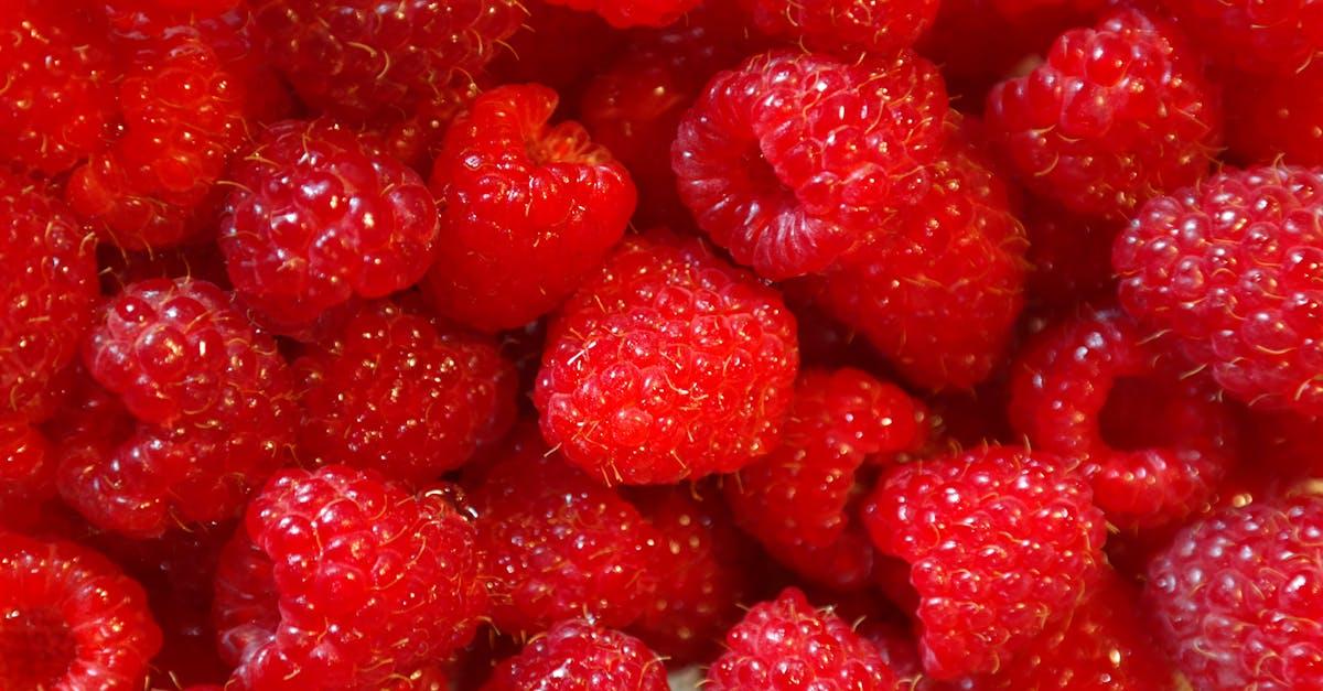 découvrez l'univers délicieux des framboises ! riches en saveurs, ces petits fruits rouges sont parfaits pour vos desserts, smoothies et recettes saines. apprenez tout sur leurs bienfaits et comment les intégrer dans votre alimentation.