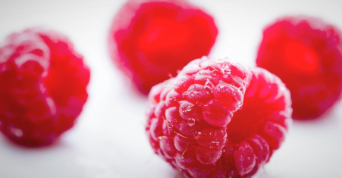 découvrez l'univers délicieux des framboises : un fruit succulent, riche en saveurs et en bienfaits pour la santé. apprenez à les cultiver, à les utiliser en cuisine et à profiter de leurs vertus nutritionnelles.