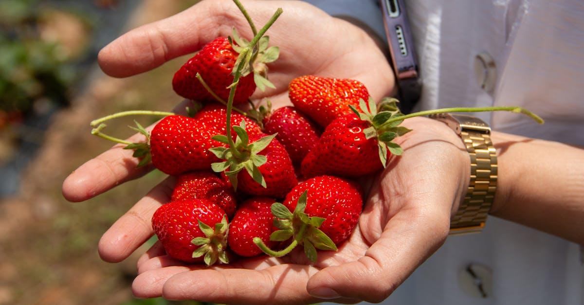 découvrez nos délicieuses tartelettes aux fraises, un dessert fruité et éléguant parfait pour toutes les occasions. savourez la croûte croustillante associée à une crème onctueuse et des fraises juteuses pour un plaisir sucré inoubliable.