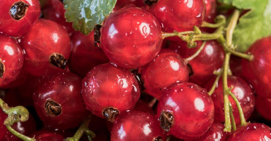 découvrez la délicieuse tarte tropézienne, une spécialité sucrée de saint-tropez, alliant un pain brioché moelleux à une crémeux au beurre et à la vanille. parfaite pour un dessert estival ou un goûter gourmand, elle ravira vos papilles et vous transportera sur la côte d'azur.