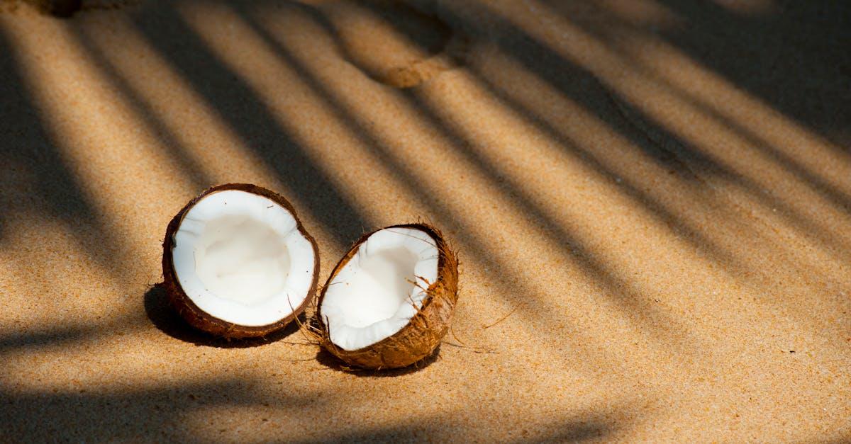 découvrez l'univers tropical à travers des paysages luxuriants, des couleurs vibrantes et une biodiversité exceptionnelle. évadez-vous vers des destinations paradisiaques, des saveurs exotiques et des cultures fascinantes qui vous transporteront vers un véritable coin de paradis.
