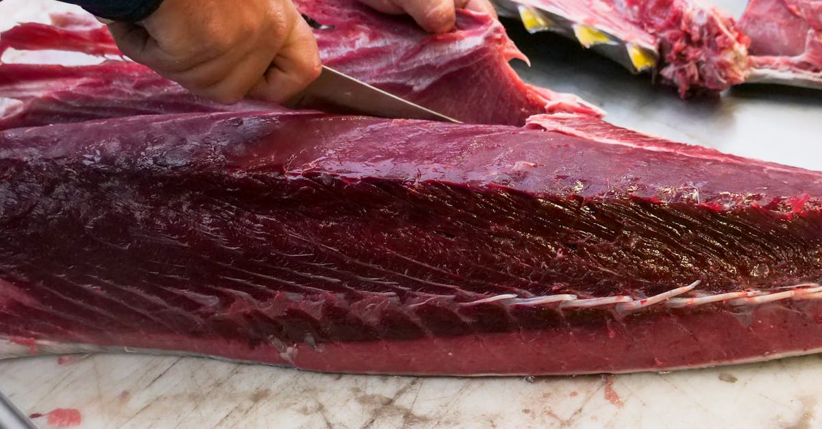 découvrez l'univers fascinant du thon, un poisson emblématique de la mer, apprécié pour sa saveur délicate et ses nombreuses qualités nutritionnelles. explorez ses différents types, recettes savoureuses et les bienfaits qu'il apporte à votre santé.