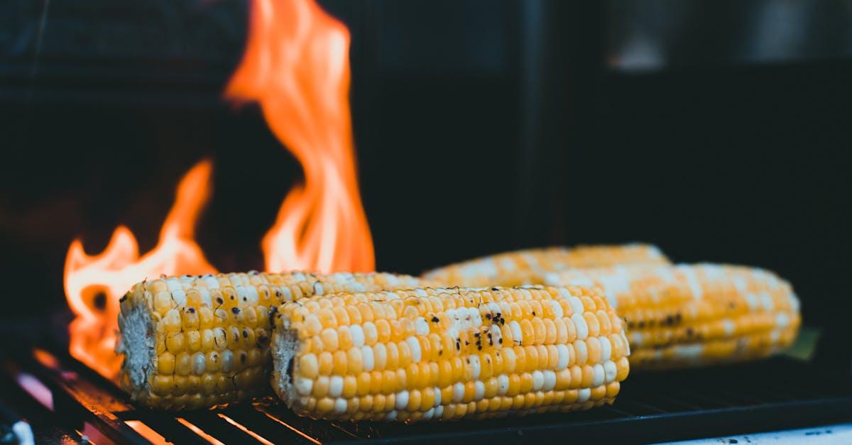 découvrez le barbecue coréen végétarien, une expérience culinaire savoureuse et saine. savourez des légumes grillés, des marinades aromatiques et des plats authentiques qui raviront vos papilles tout en respectant vos choix alimentaires. parfait pour les amateurs de cuisine végétale et les aventuriers du goût.