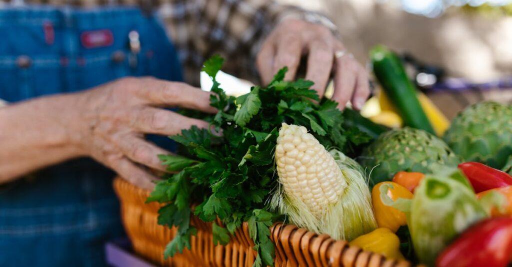 découvrez les différentes variétés d'artichauts, leurs caractéristiques uniques, suggestions de préparation et conseils de culture pour enrichir vos plats et votre jardin.