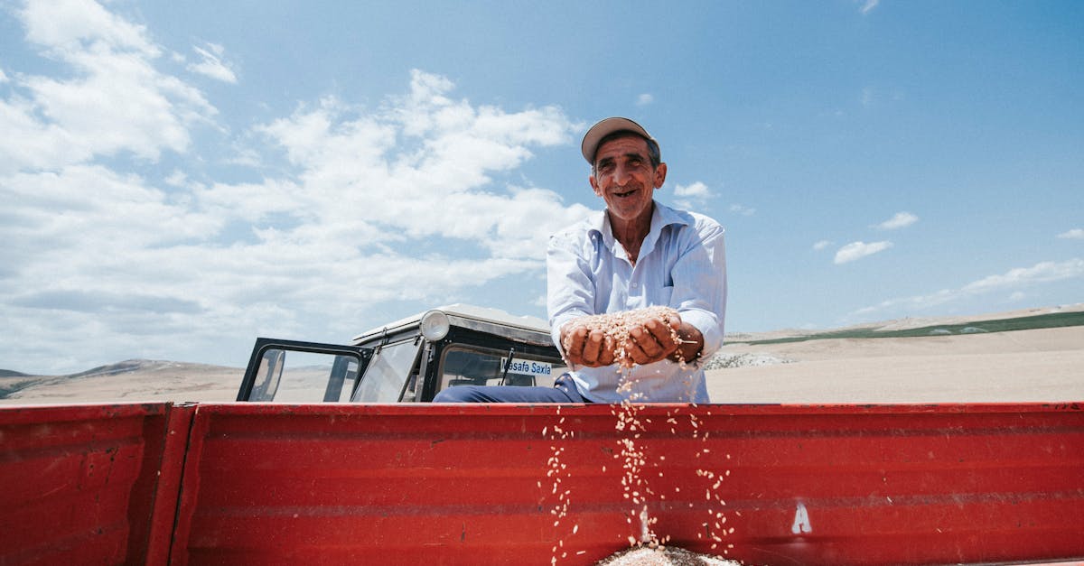 découvrez les enjeux et les techniques de production céréalière, essentielles pour nourrir la population mondiale. explorez les meilleures pratiques, les innovations agronomiques et l'impact environnemental de la culture des céréales.