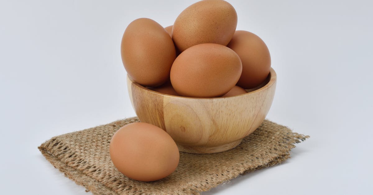 découvrez tout sur l'œuf, cet aliment polyvalent et nutritif. apprenez ses bienfaits, ses différentes variétés, ainsi que des recettes savoureuses pour l'intégrer facilement dans votre alimentation quotidienne.