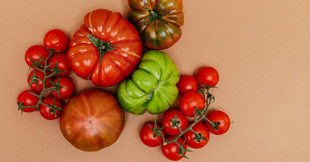découvrez tout sur les tomates vertes : avantages nutritionnels, recettes savoureuses et astuces de culture. apprenez à les utiliser en cuisine pour des plats originaux et savoureux.