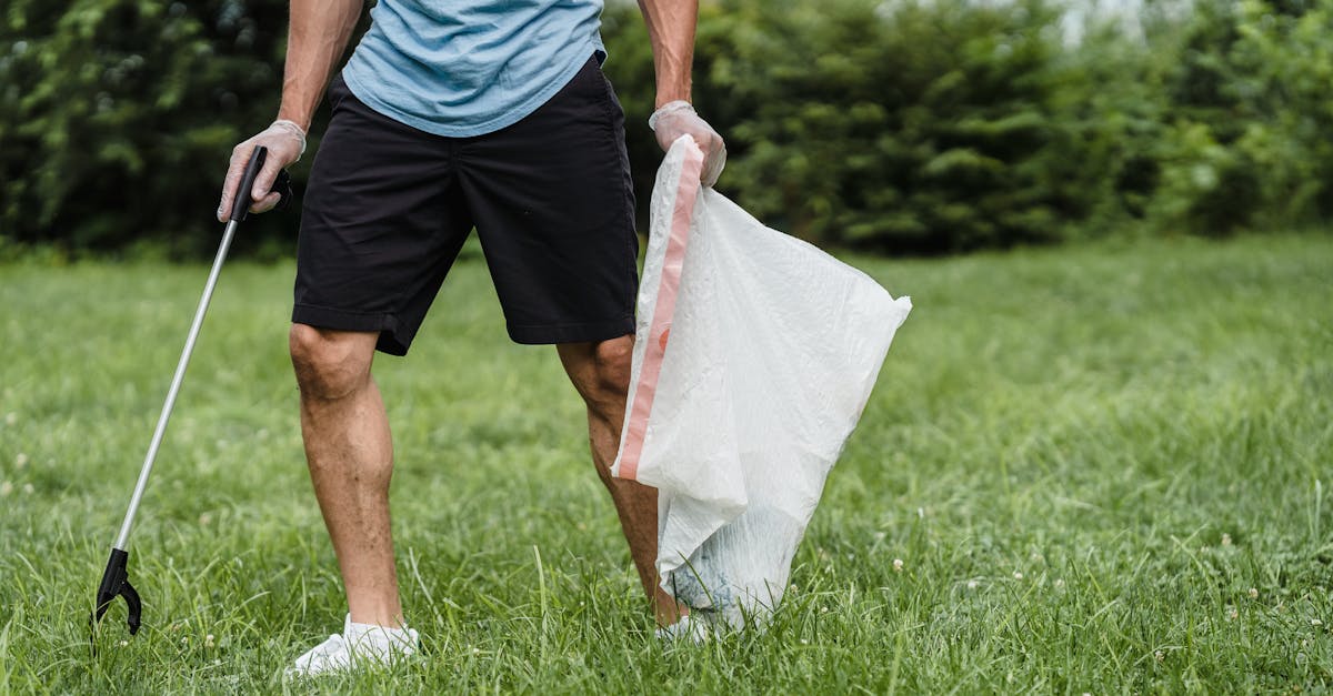 découvrez les bienfaits du nettoyage naturel avec des produits écologiques et efficaces. optez pour une maison saine et respectueuse de l'environnement grâce à nos conseils et astuces pour un quotidien sans produits chimiques.