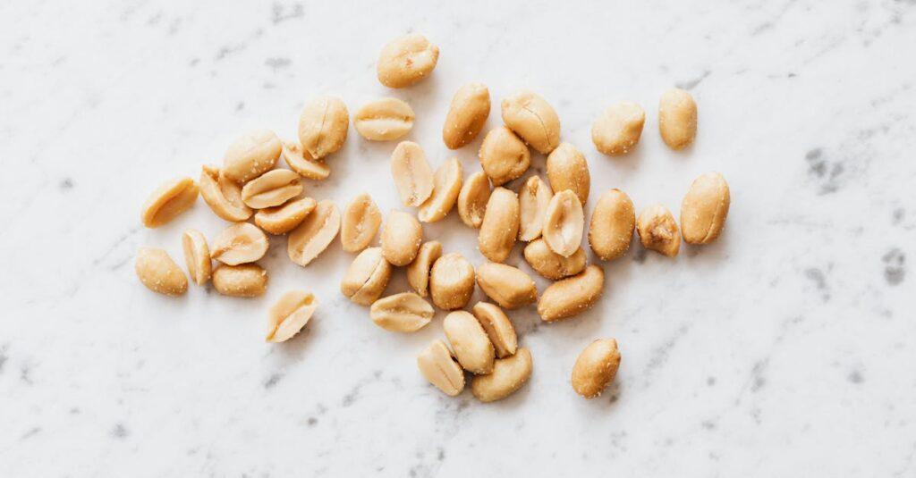 découvrez l'univers fascinant des cacahuètes : leurs origines, bienfaits nutritionnels, recettes savoureuses et astuces pour les intégrer à votre alimentation quotidienne. plongez dans le monde des peanuts et savourez chaque bouchée !