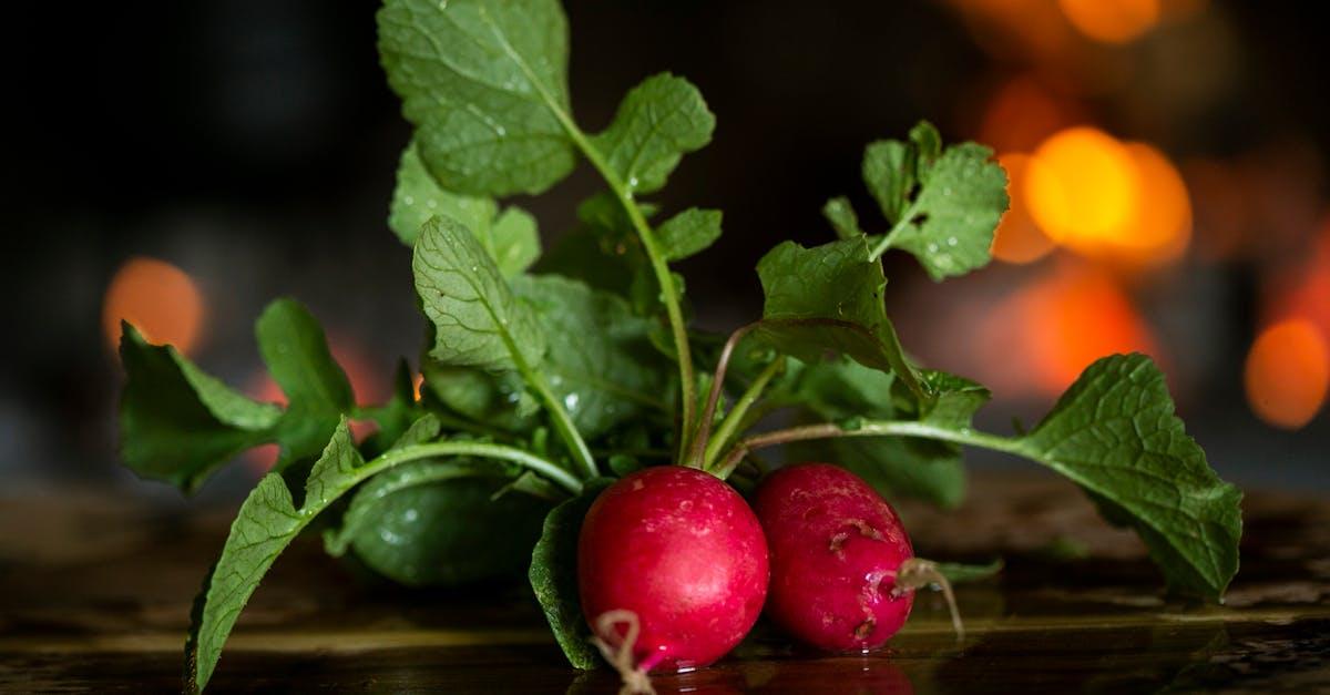 découvrez les radis : ces légumes croquants et colorés, parfaits pour ajouter du goût à vos salades et plats. apprenez leurs bienfaits pour la santé, ainsi que des astuces pour les cultiver et les préparer en cuisine.