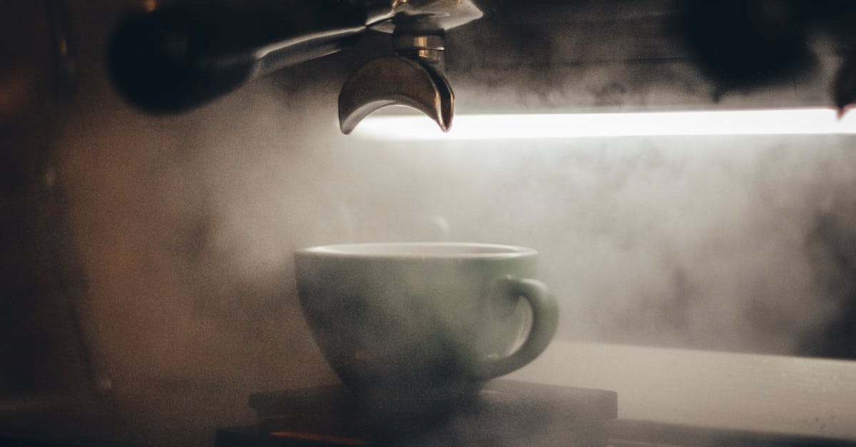 découvrez l'art du steaming, une méthode innovante de cuisson à la vapeur qui préserve les nutriments et rehausse les saveurs de vos aliments. apprenez des recettes faciles et astuces pour une cuisine saine et délicieuse.