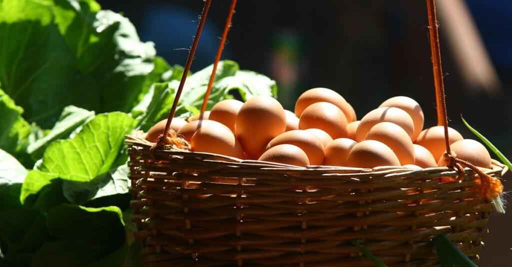 découvrez tout ce qu'il faut savoir sur les œufs : bienfaits nutritionnels, conseils de cuisson, idées de recettes et astuces pour les choisir et les conserver frais.