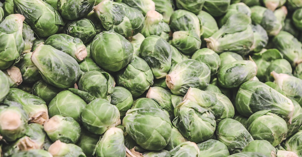 découvrez le potassium, un minéral essentiel pour le bon fonctionnement des muscles, du cœur et du système nerveux. informations sur ses sources alimentaires, ses bienfaits et les risques liés à une carence ou un excès.