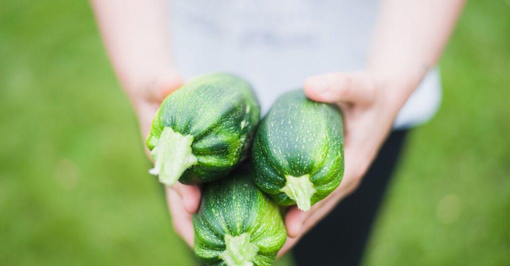 découvrez tout sur le zucchini : ses bienfaits nutritionnels, des recettes savoureuses et des conseils de culture pour profiter pleinement de ce légume incontournable en cuisine.
