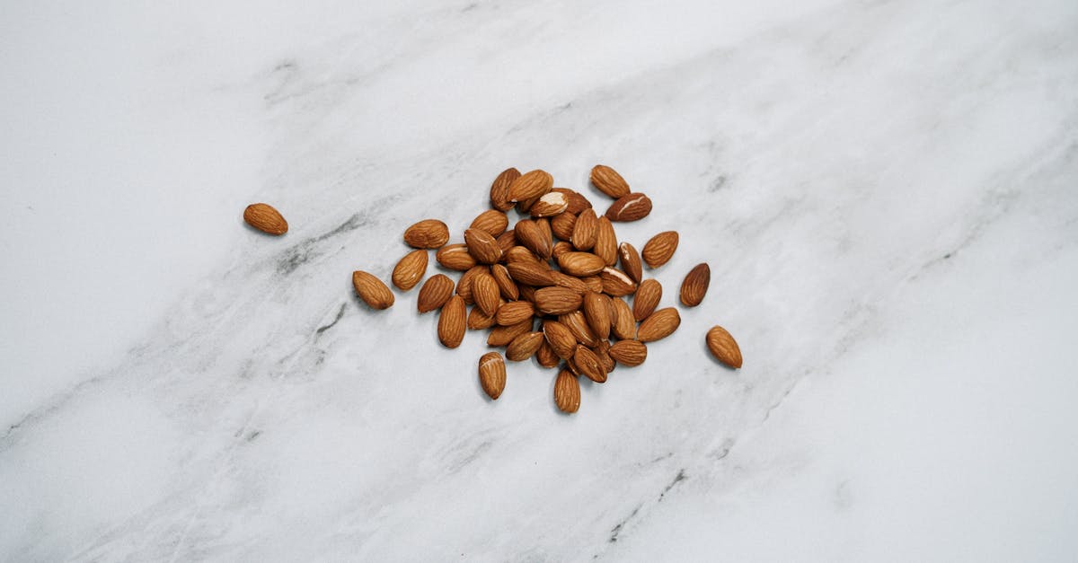 découvrez tout ce qu'il faut savoir sur les amandes : bienfaits santé, valeurs nutritionnelles, conseils de consommation et idées de recettes pour intégrer cet aliment riche en nutriments à votre alimentation.