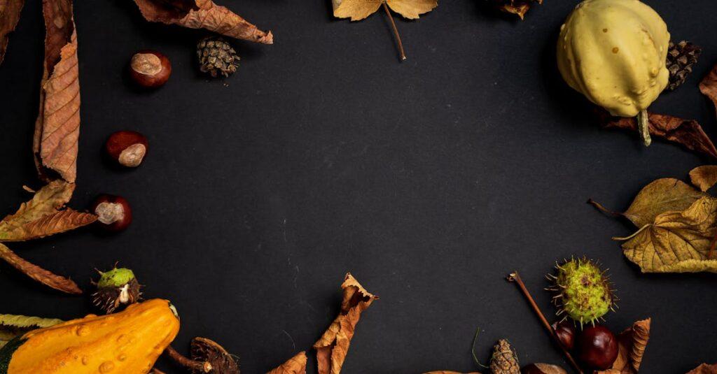 découvrez tout sur le chestnut : ses bienfaits, ses utilisations culinaires et nutritionnelles, ainsi que des conseils pour bien le choisir et le conserver.