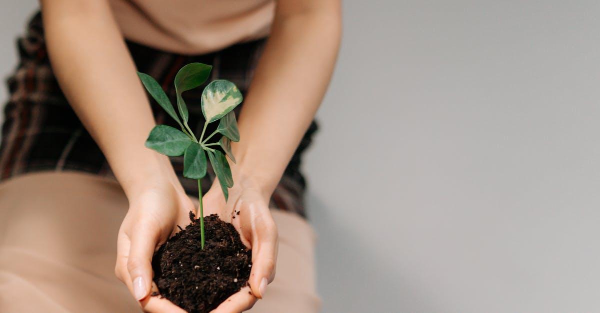 découvrez les avancées récentes sur la régénération de la myéline, un processus clé pour restaurer la santé nerveuse et lutter contre les maladies démyélinisantes comme la sclérose en plaques.