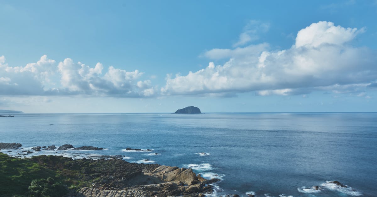 découvrez les avancées et les approches innovantes pour favoriser la régénération de la myéline, essentielle à la santé du système nerveux et au traitement des maladies neurologiques.