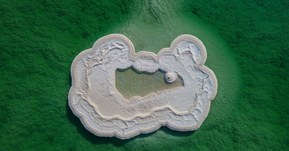 découvrez les bienfaits du potassium, un minéral essentiel pour la santé. apprenez son rôle, ses sources alimentaires et l'importance d’un bon apport en potassium au quotidien.