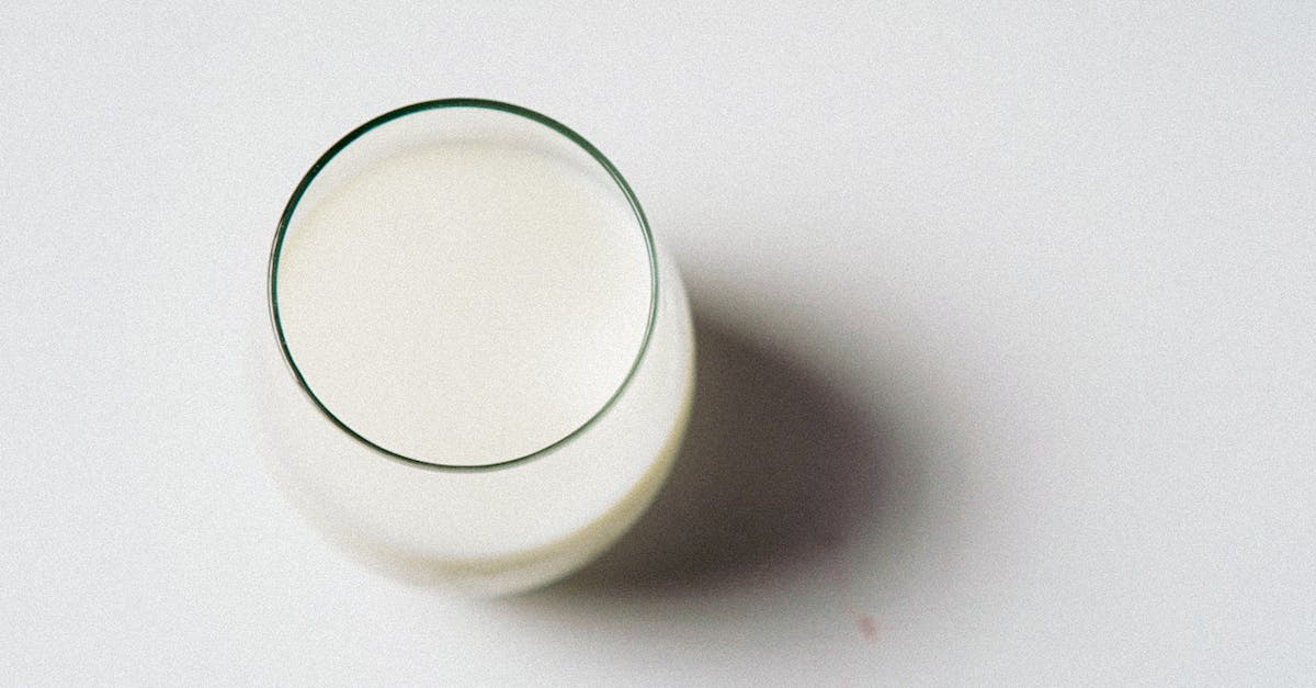 découvrez tout ce qu'il faut savoir sur le lait entier : ses bienfaits, sa composition nutritionnelle et ses usages en cuisine pour une alimentation saine et gourmande.