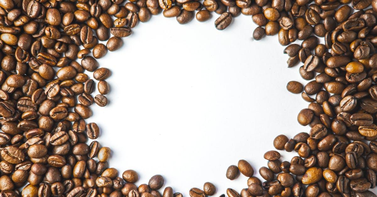découvrez tout ce qu'il faut savoir sur le lait entier : ses bienfaits nutritionnels, ses usages en cuisine et les raisons de le choisir pour une alimentation équilibrée.