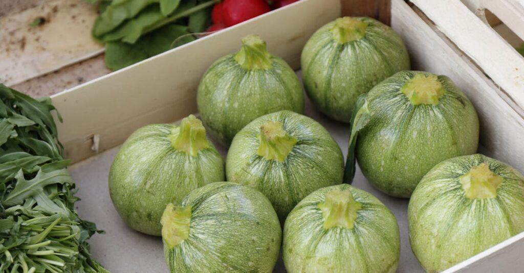 découvrez tout sur la courgette : ses bienfaits, comment la cuisiner, des recettes savoureuses et des astuces pour profiter pleinement de ce légume sain et polyvalent.