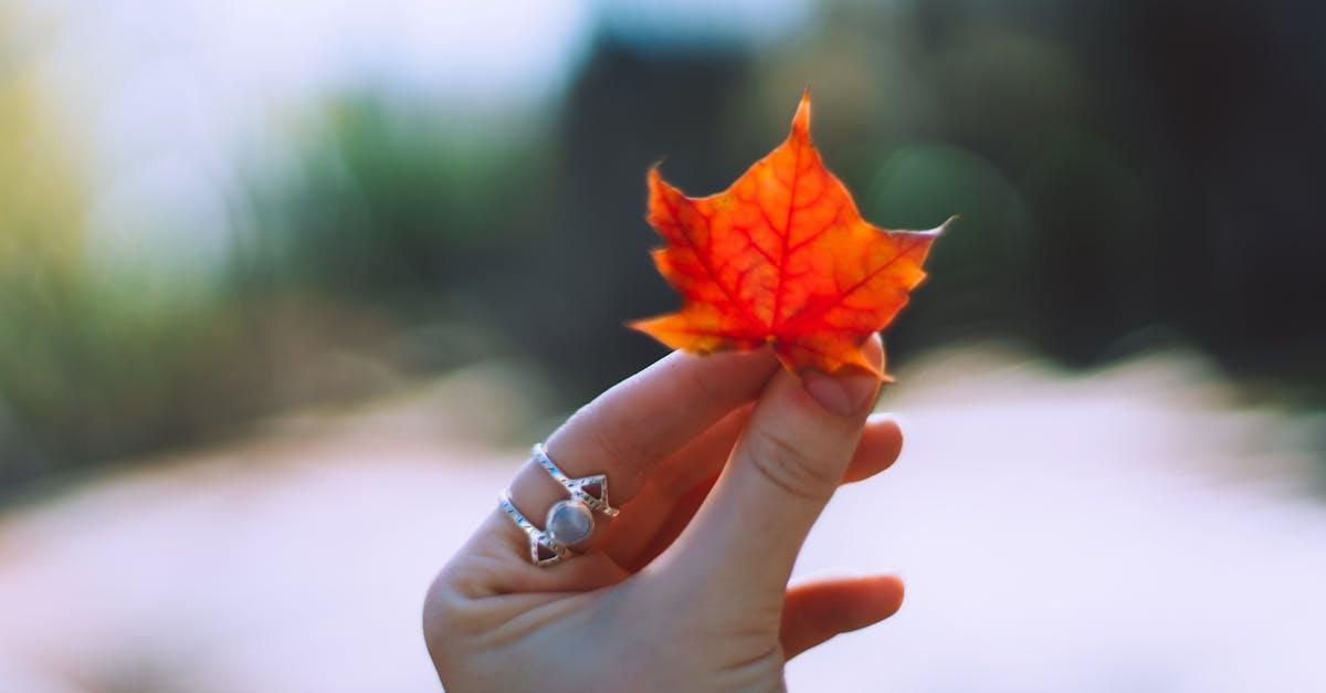 découvrez ce qu'est l'indice glycémique, son importance pour la santé, comment il influence la gestion du sucre dans le sang et comment choisir des aliments à faible ig pour une alimentation équilibrée.