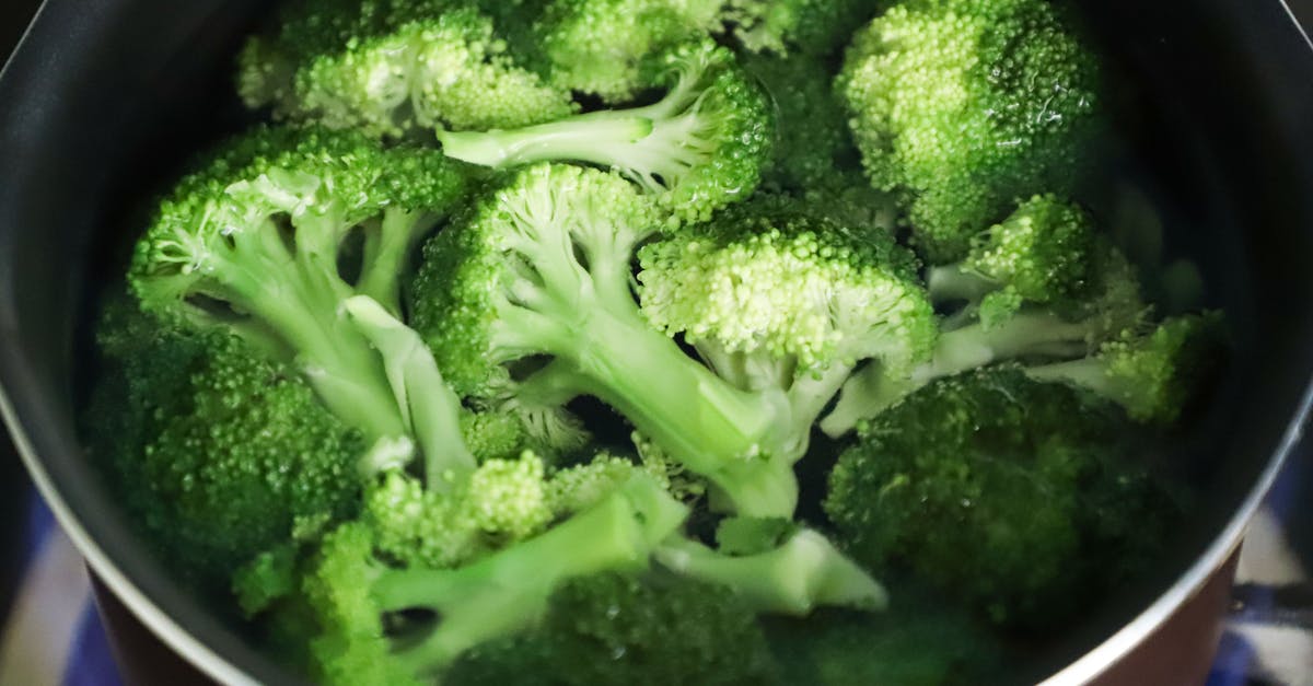 découvrez le régime low carb : principes, bienfaits et conseils pratiques pour réduire votre consommation de glucides tout en adoptant une alimentation équilibrée et savoureuse.