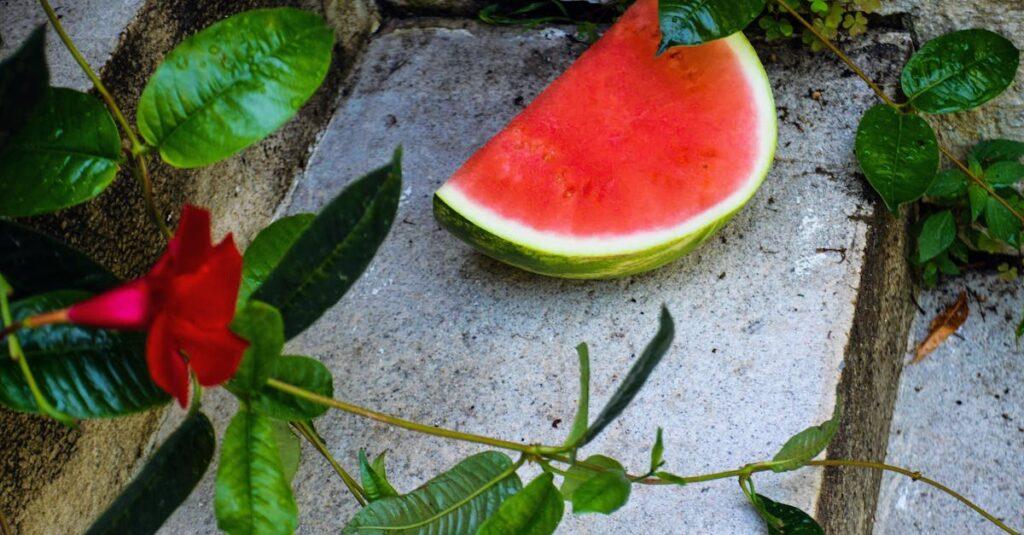 découvrez tout sur le melon : ses bienfaits, ses différentes variétés, conseils de dégustation, astuces de conservation et idées de recettes rafraîchissantes pour l'été.